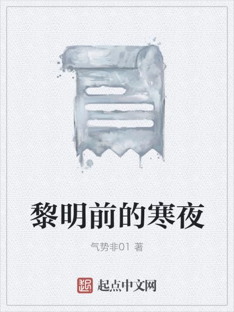 黎明前的寒夜