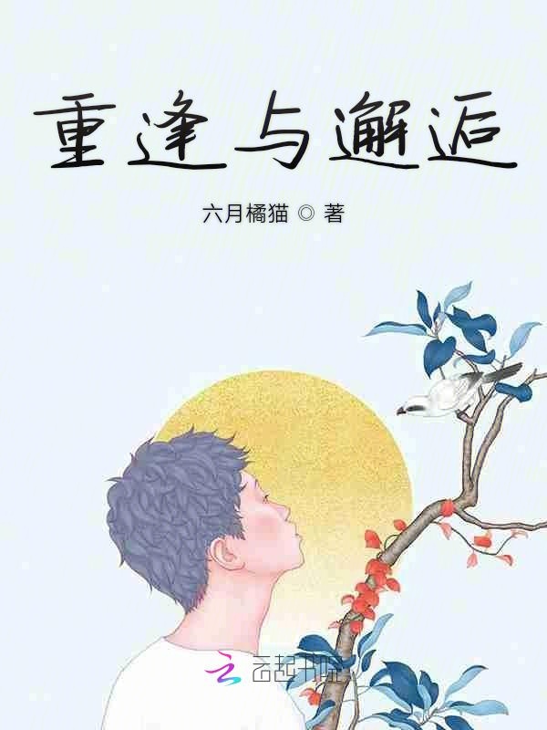 重逢与邂逅