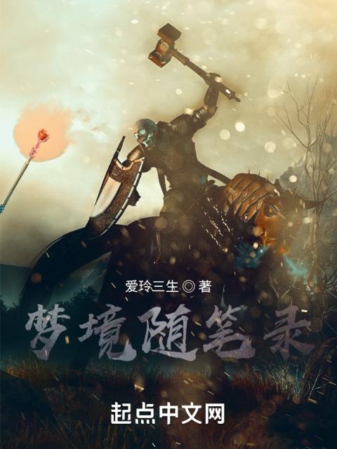 梦境随笔录
