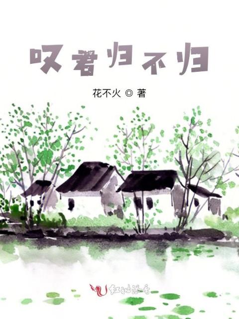 叹君归不归