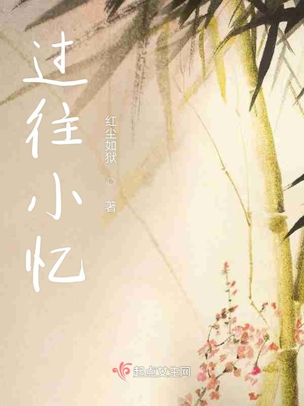 过往小忆