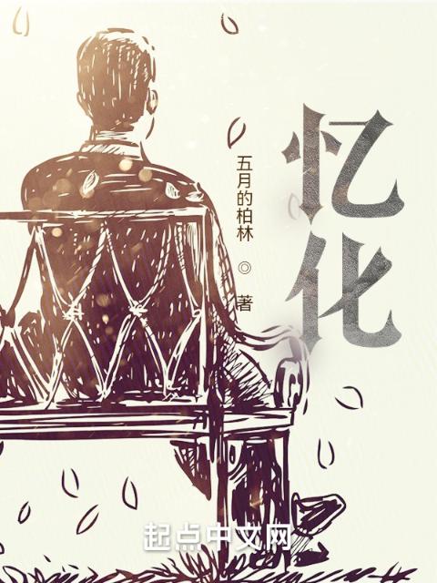 忆化