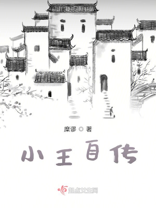 小王自传