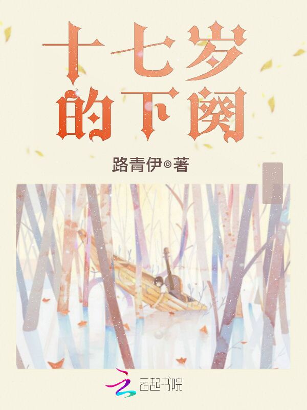 十七岁的下阕