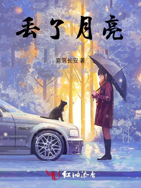 丢了月亮