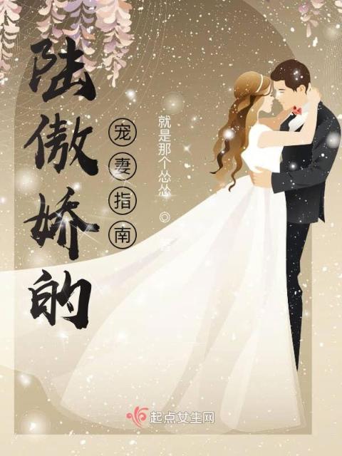 陆傲娇的宠妻指南