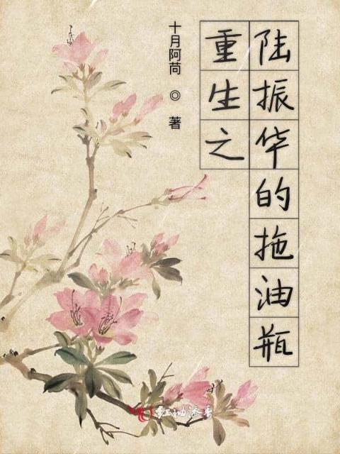 重生之陆振华的拖油瓶