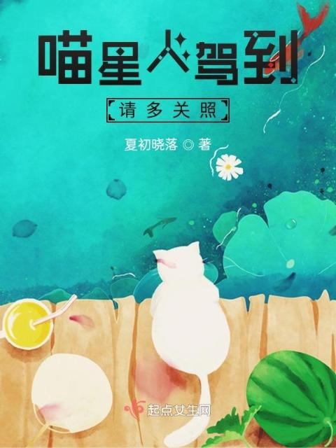 喵星人驾到，请多关照