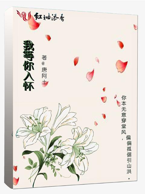 我等你入怀
