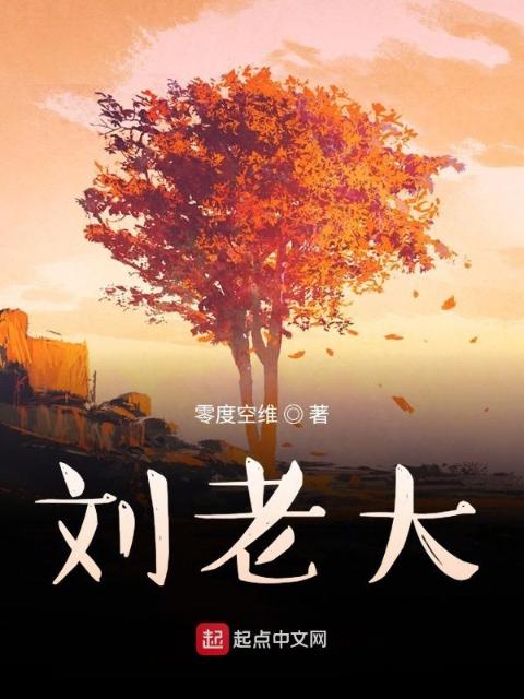 刘老大