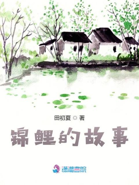 锦鲤的故事
