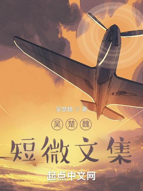 吴楚魏短微文集