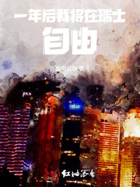 一年后，我将在瑞士自由