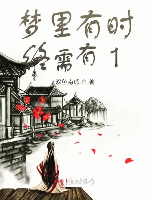 梦里有时终需有1