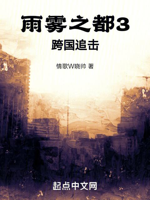 雨雾之都3跨国追击