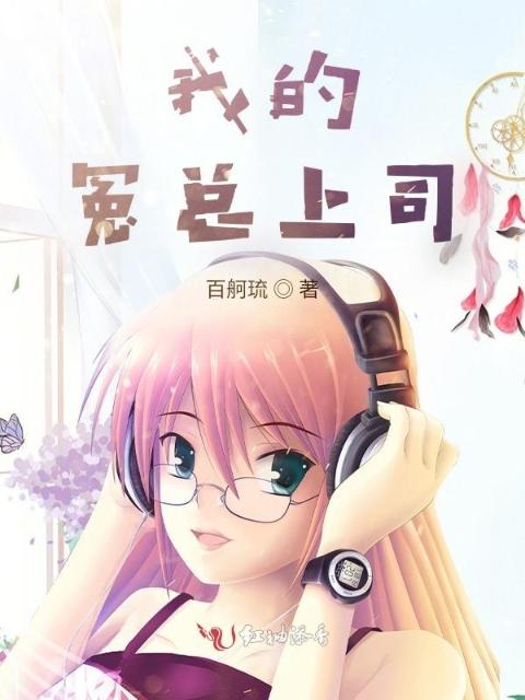 我的冤总上司