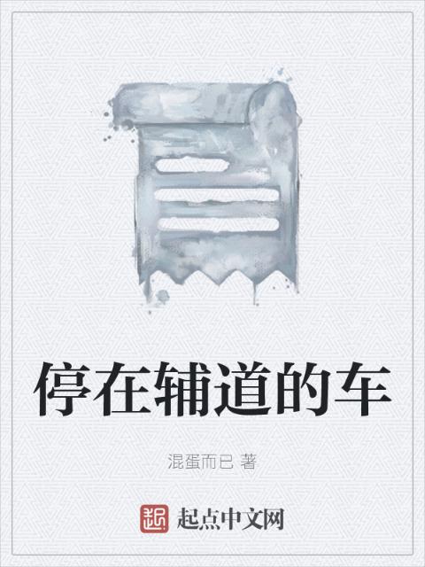 停在辅道的车