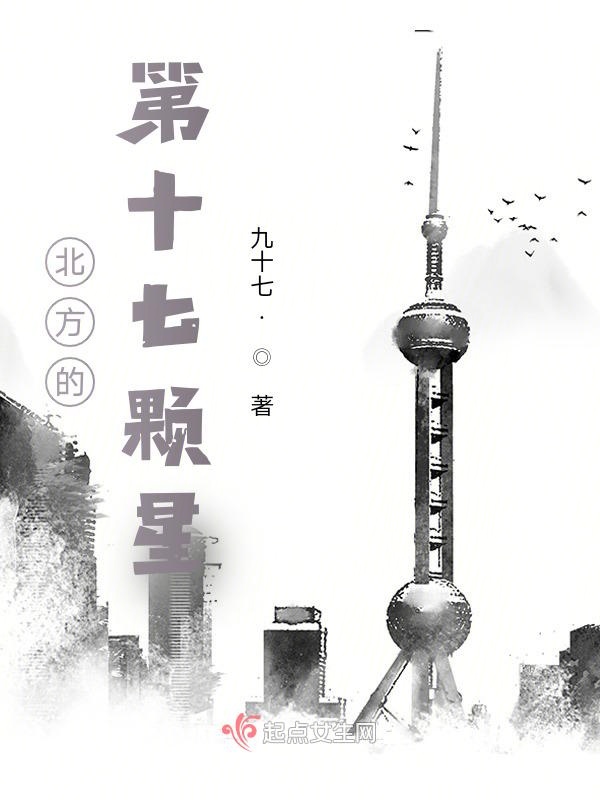 北方的第十七颗星
