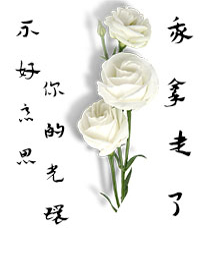 不好意思，你的光环我拿走了