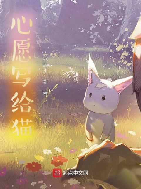 心愿写给猫