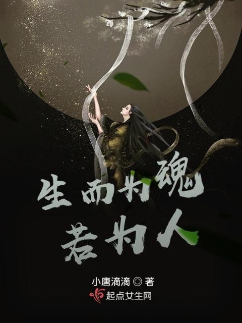 生而为魂，若为人