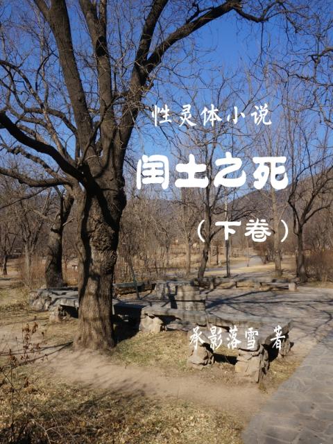 性灵体小说：闰土之死下卷