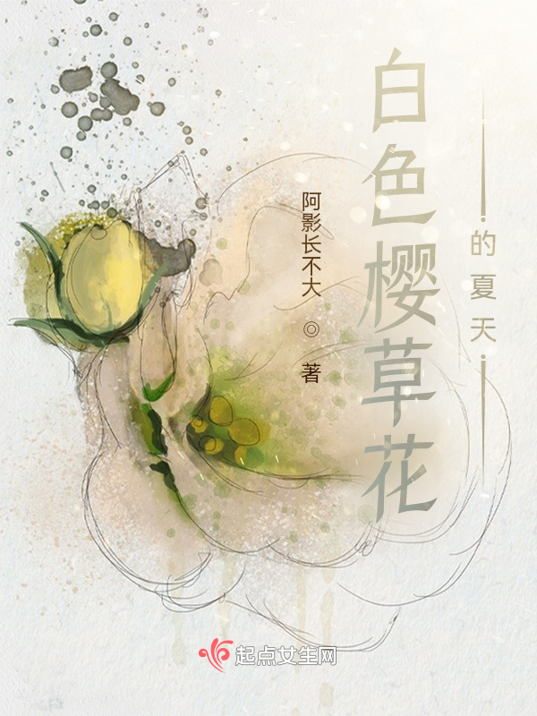 白色樱草花的夏天