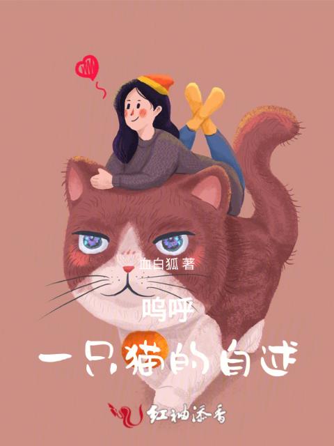 呜呼，一只猫的自述