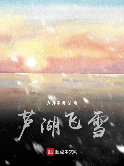 芦湖飞雪
