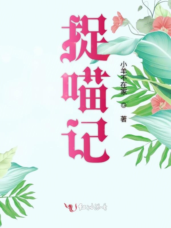 捉喵记