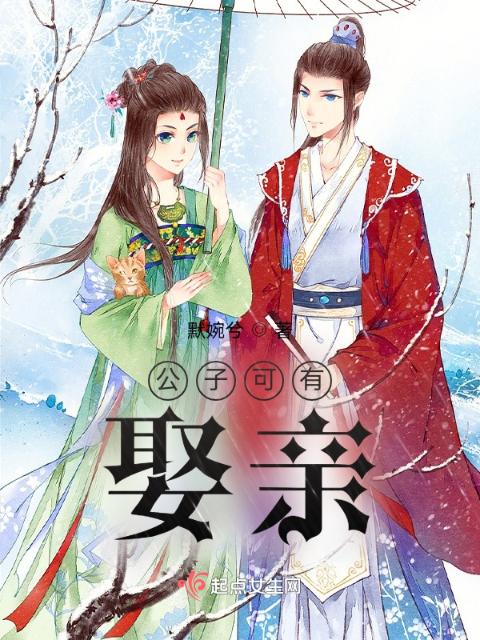 公子可有娶亲？