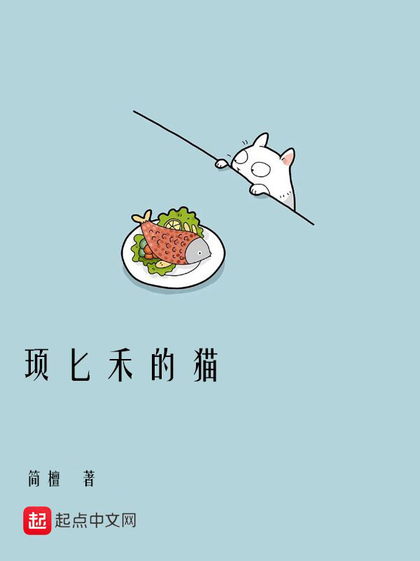 顼匕禾的猫