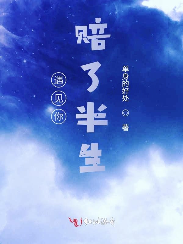 遇见你，赔了半生