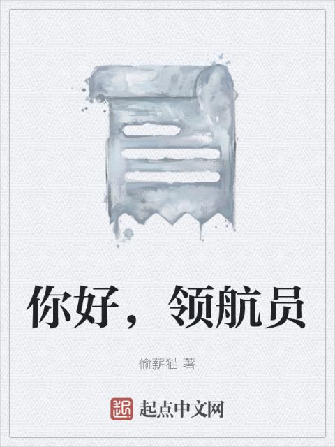 你好，领航员
