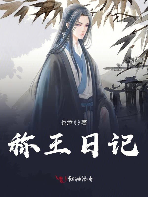 称王日记
