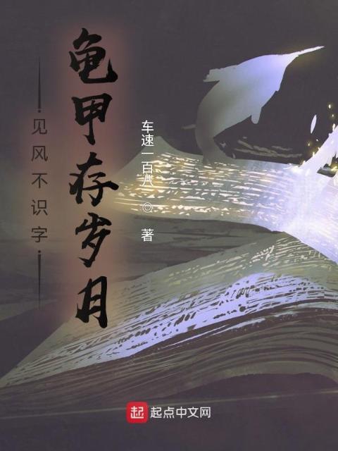见风不识字，龟甲存岁月