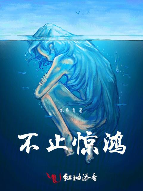 不止惊鸿