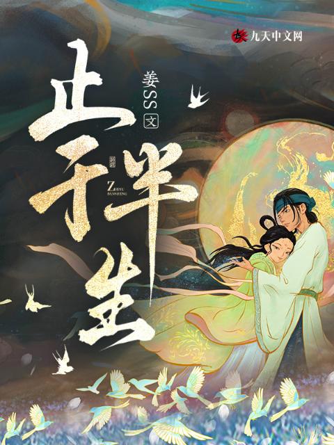 止于半生