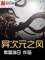 异次元之风
