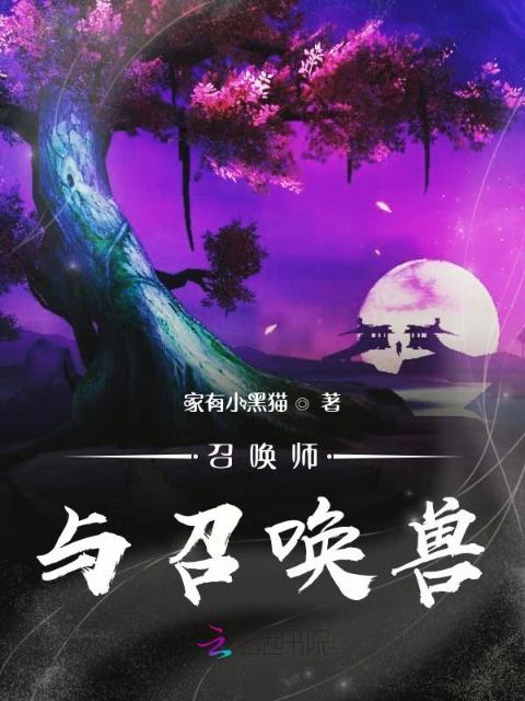 召唤师与召唤兽