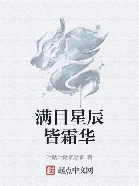 满目星辰皆霜华