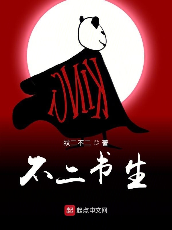不二书生