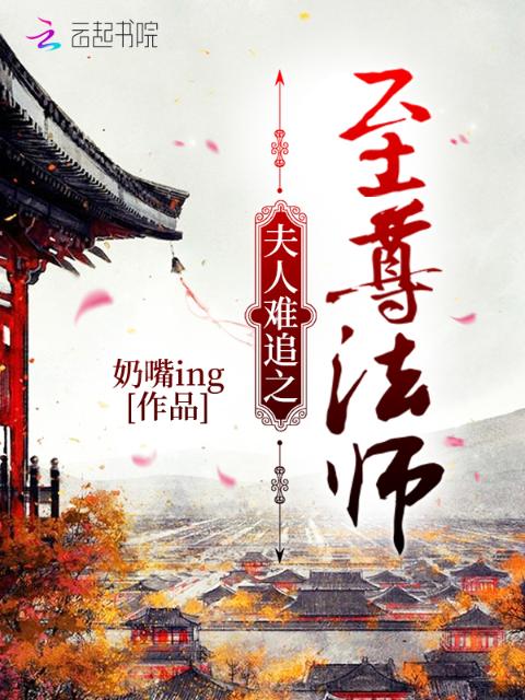 夫人难追之至尊法师