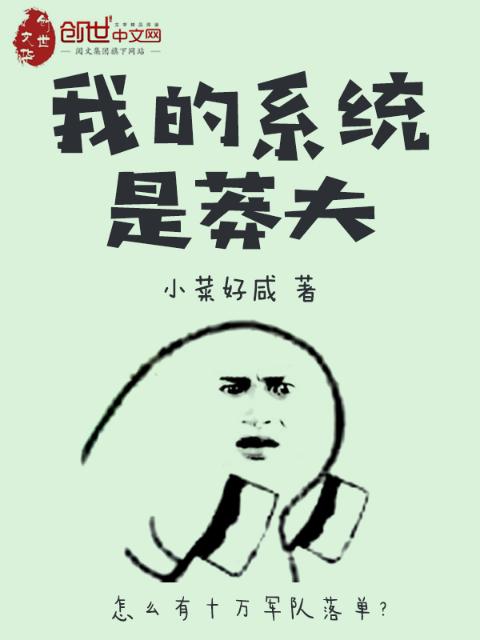 我的系统是莽夫