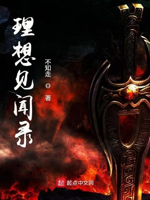 理想见闻录