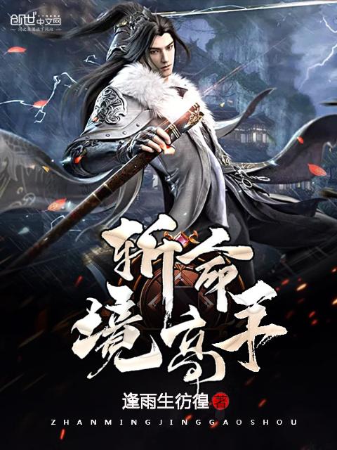 斩命境高手