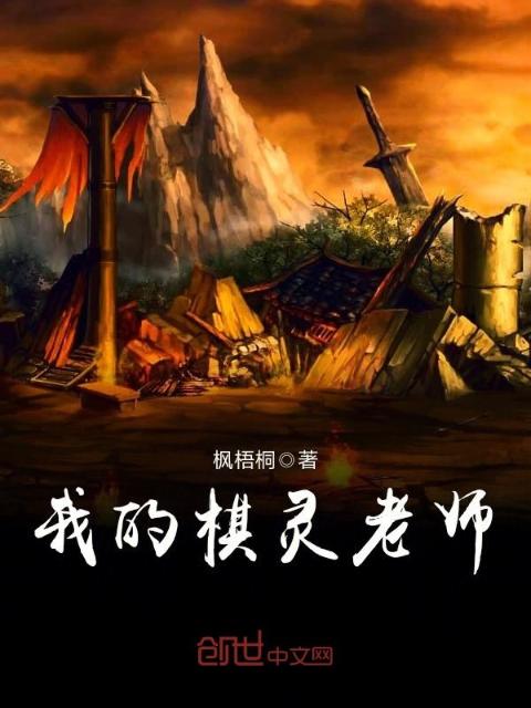 我的棋灵老师