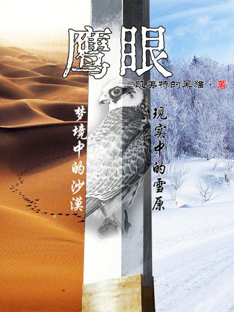 鹰眼