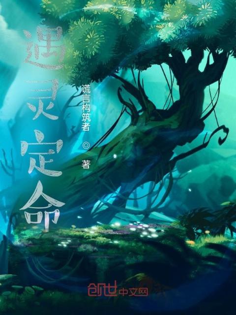 遇灵定命