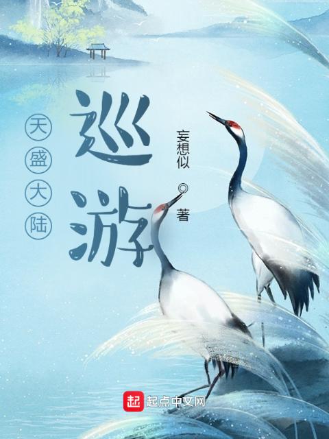 天盛大陆：巡游